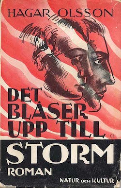 Bokomslag hagar_olsson_blaser_upp_till_storm_dixikon.se