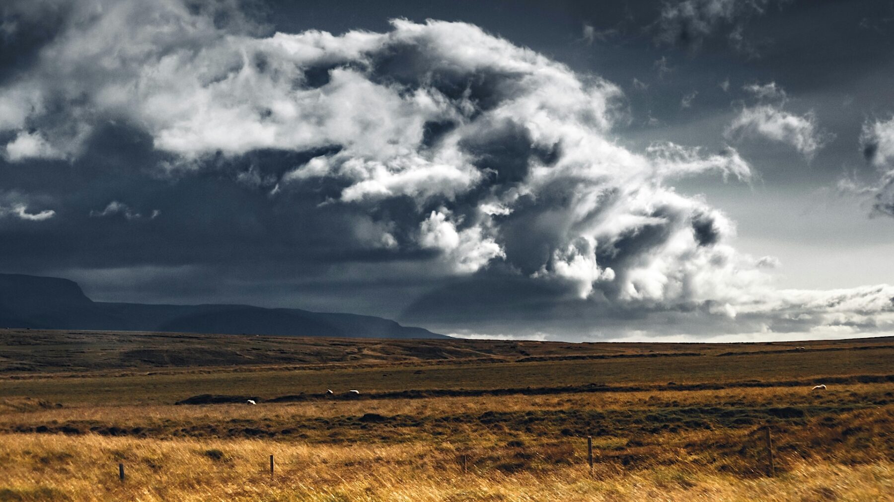 Från norr drar åskan in