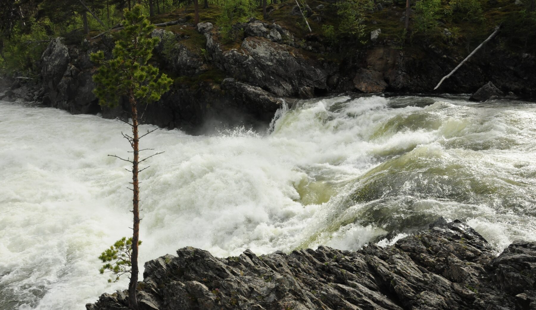 En särdeles originell roman