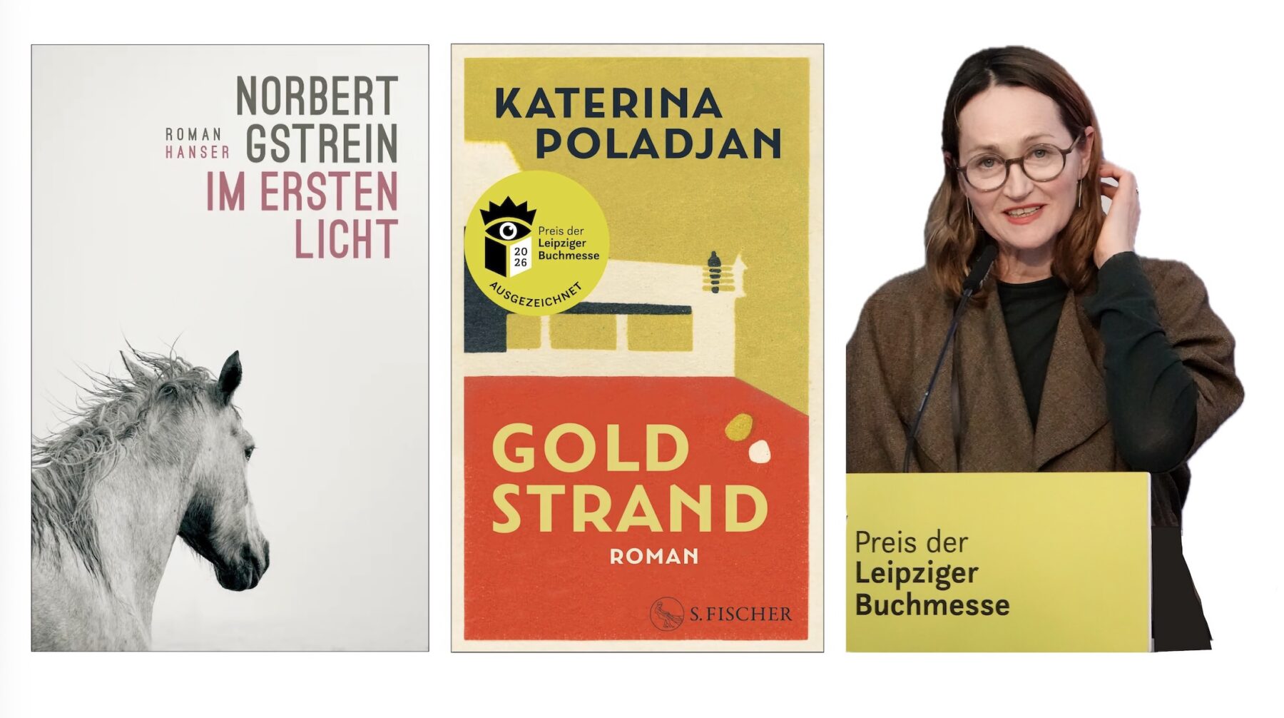 Två tyska romaner