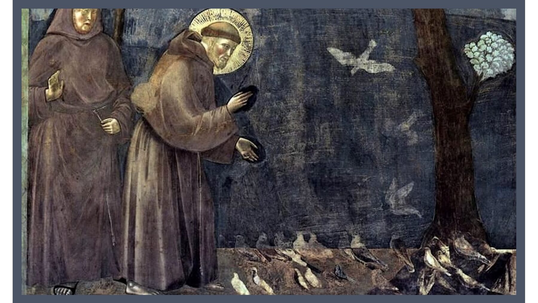Helige Franciskus 800 år