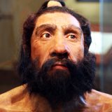 neandertalare
